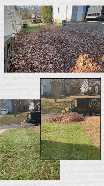 S.A.R Lawn Pro’s IMG_1584 Leaf Removal  